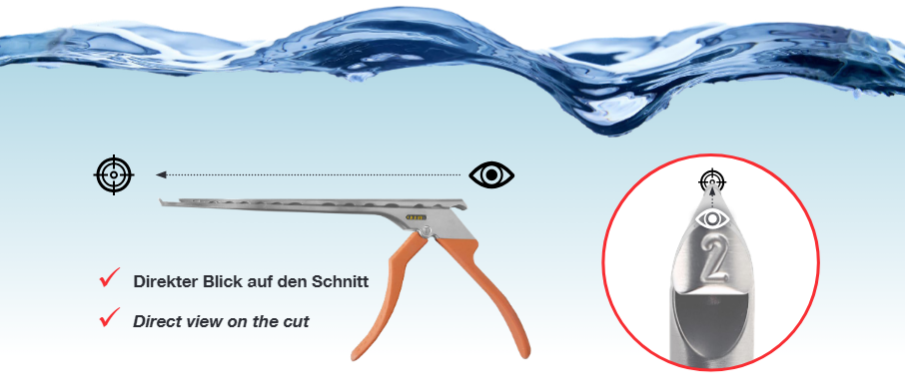 direct-view-on-the-cut